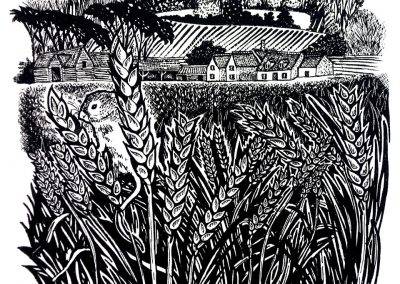 Harvest-Mouse-Stoke-by-Nayland-Woodcut